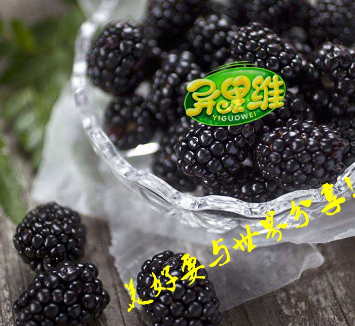 果干加工分享各类水果干的加工